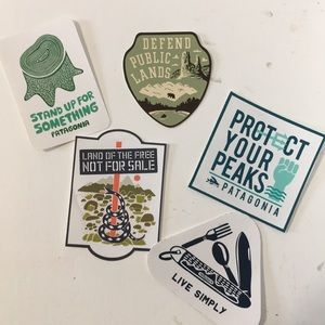 5 Rare Patagonia Stickers